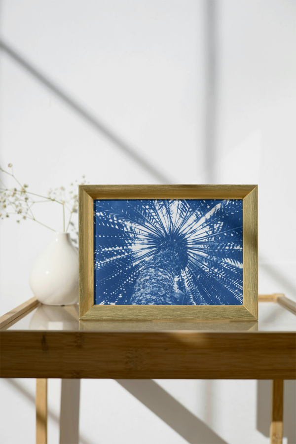 Photographie cyanotype d'un palmier en contre-plongée depuis la base de son tronc. Mise en situation dans un cadre en bois clair.